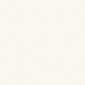 Ivory Oxford Cloth