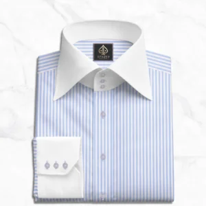 Blue Stripe Giza Cotton High Collar Dress Shirt